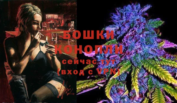 молекула духа Бугульма